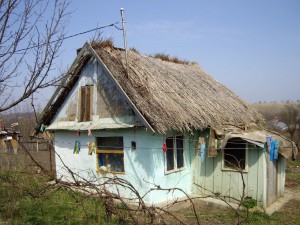 IMGP8451